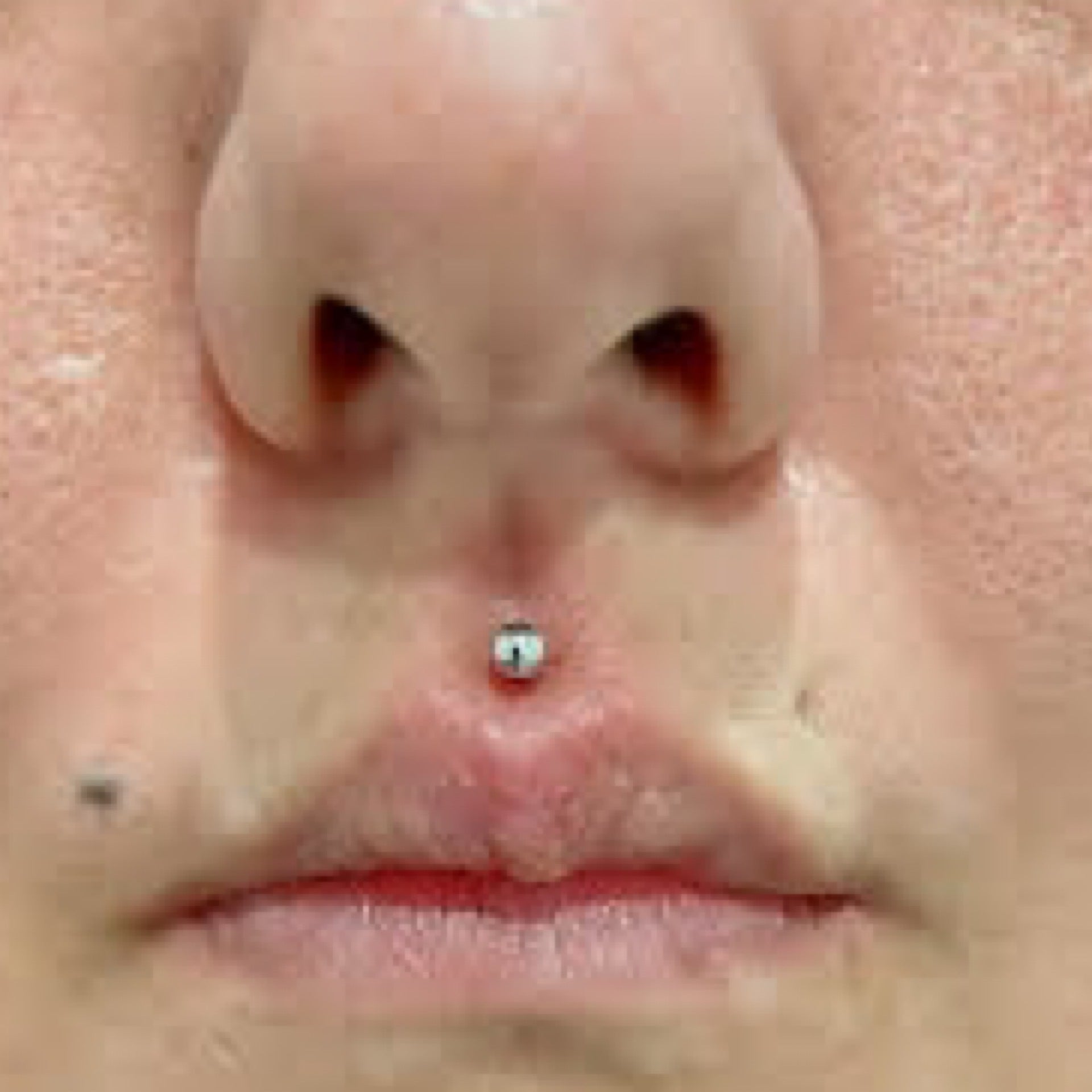 Medusa body piercing store